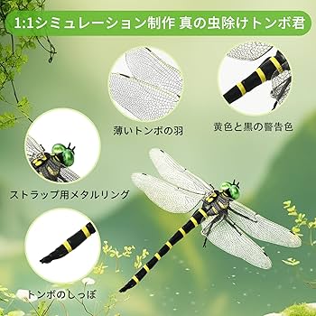 オニヤンマ ♀ トンボ標本 千葉県産 マダラヤンマ♂展翅 茨城県産 セット 2025年最新】標本 オニヤンマの人気アイテム - メルカリ